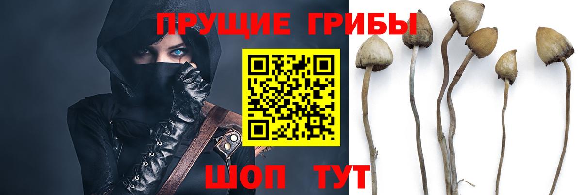 Галлюциногенные грибы прущие грибы  Вход с VPN  Карпинск 